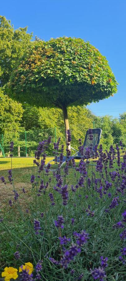 Amb Village Point Dob Екстериор снимка